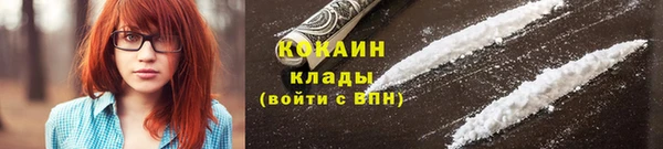 Альфа ПВП Ельня
