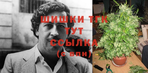 винт Елизово