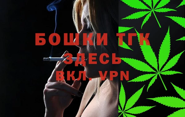 винт Елизово