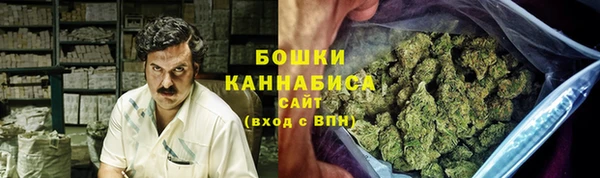 Альфа ПВП Ельня