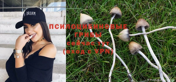 MDMA Premium VHQ Елабуга