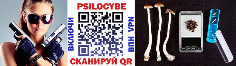 Купить закладки  Спасск-Дальний  Псилоцибиновые грибы Magic Shrooms 