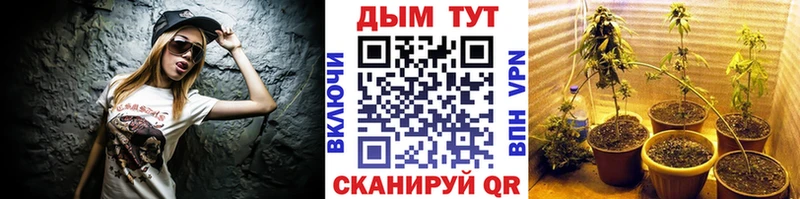 Купить закладки  Спасск-Дальний  Каннабис LSD WEED 